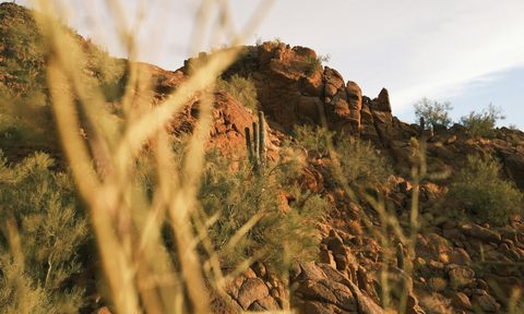 View of Camelback Mountain in Phoenix, Arizona.