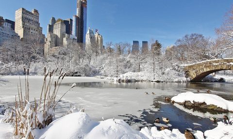 Central Park