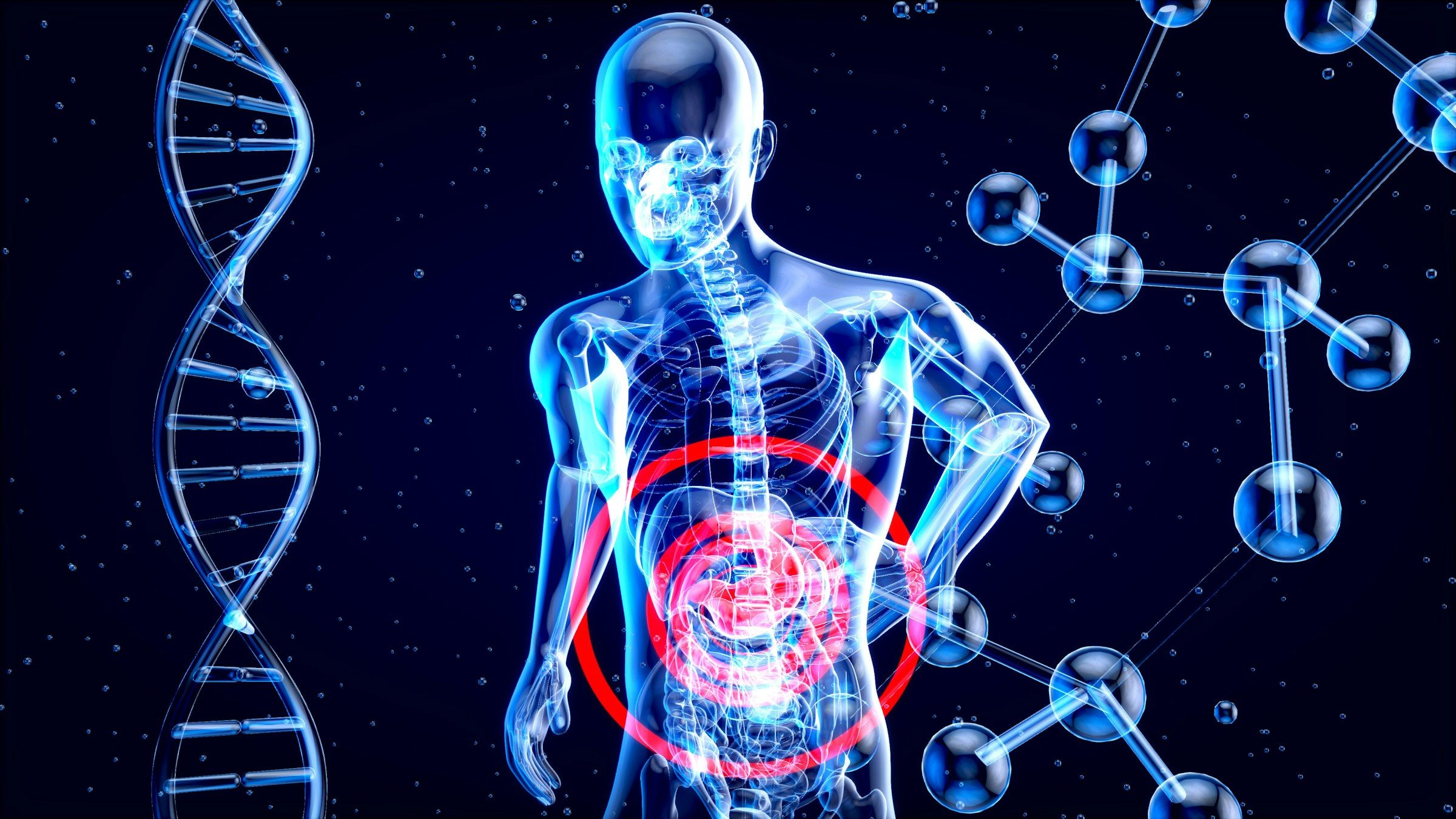gut health diagram