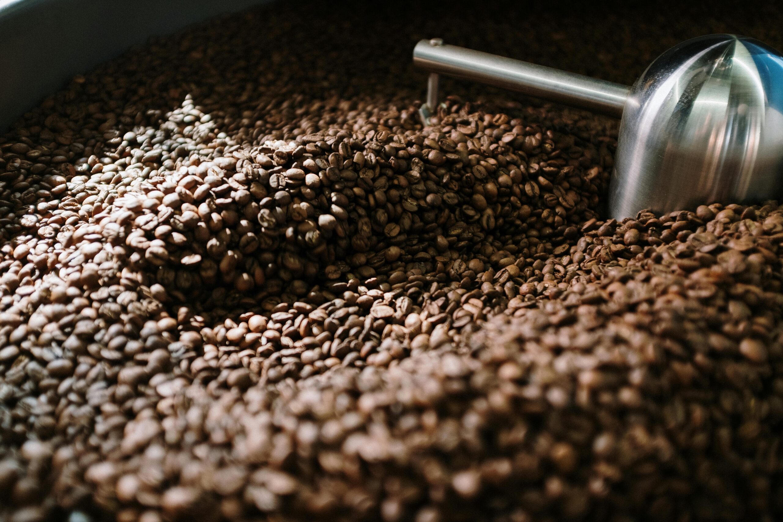 French Roast Coffee
