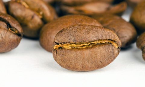 coffee bean