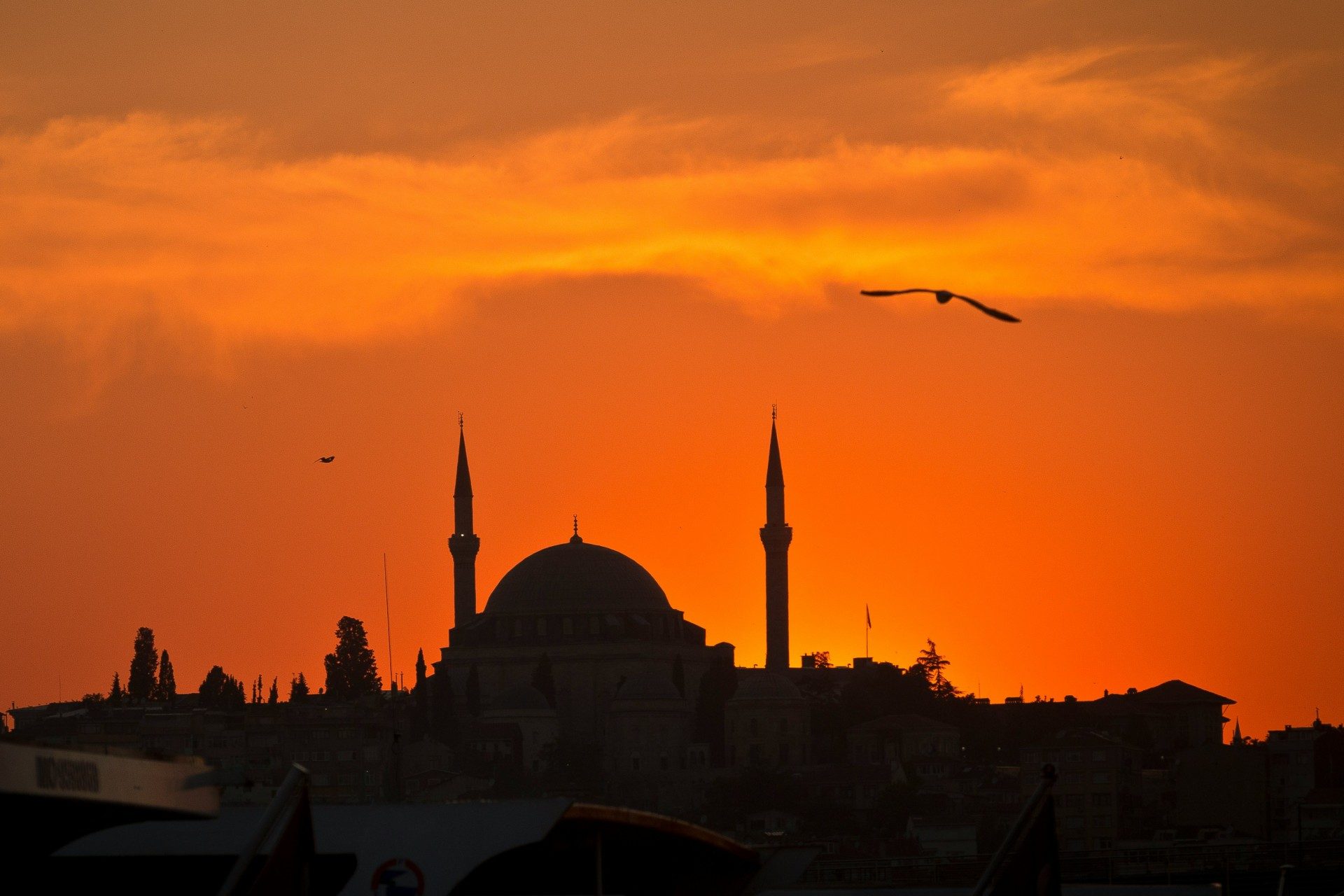 Architecture, Building, Dome