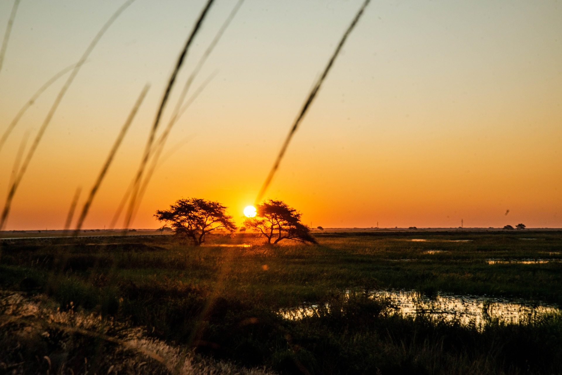 Zambia