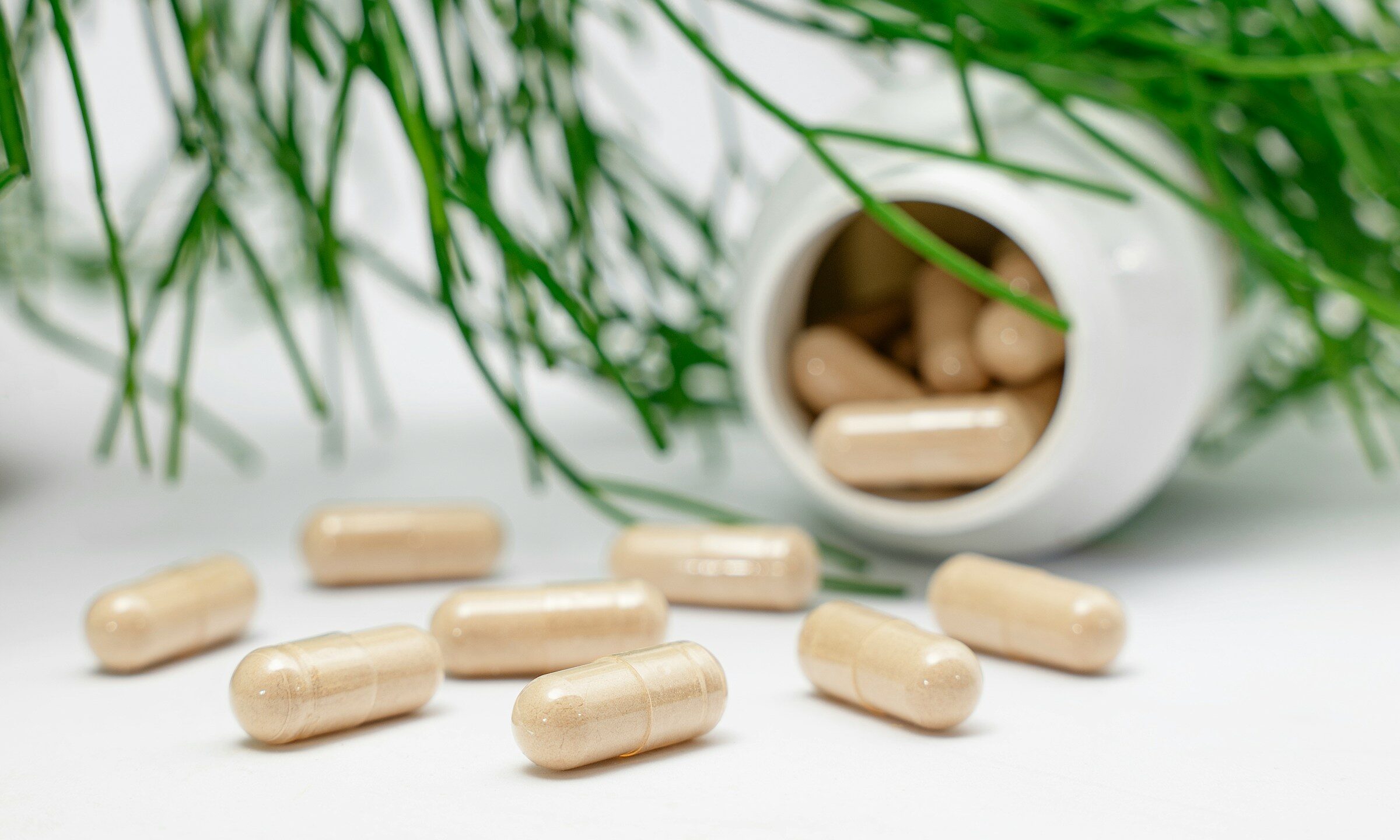 supplement