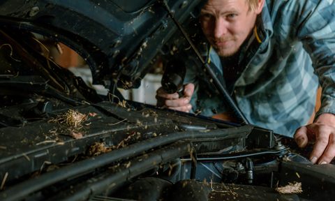 Man cleaning under a vehicle hood with a Hedgehog Jet handheld blower.