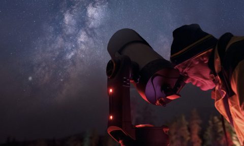 Nature, Night, Outdoors