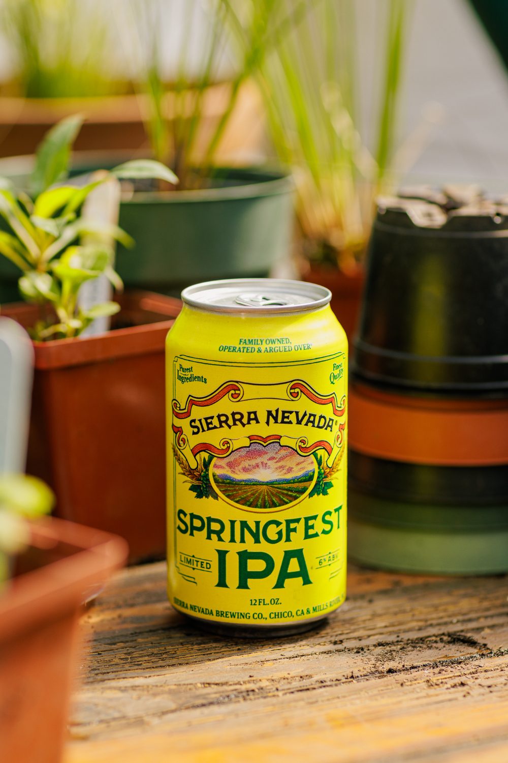 Sierra Nevada Springfest IPA.