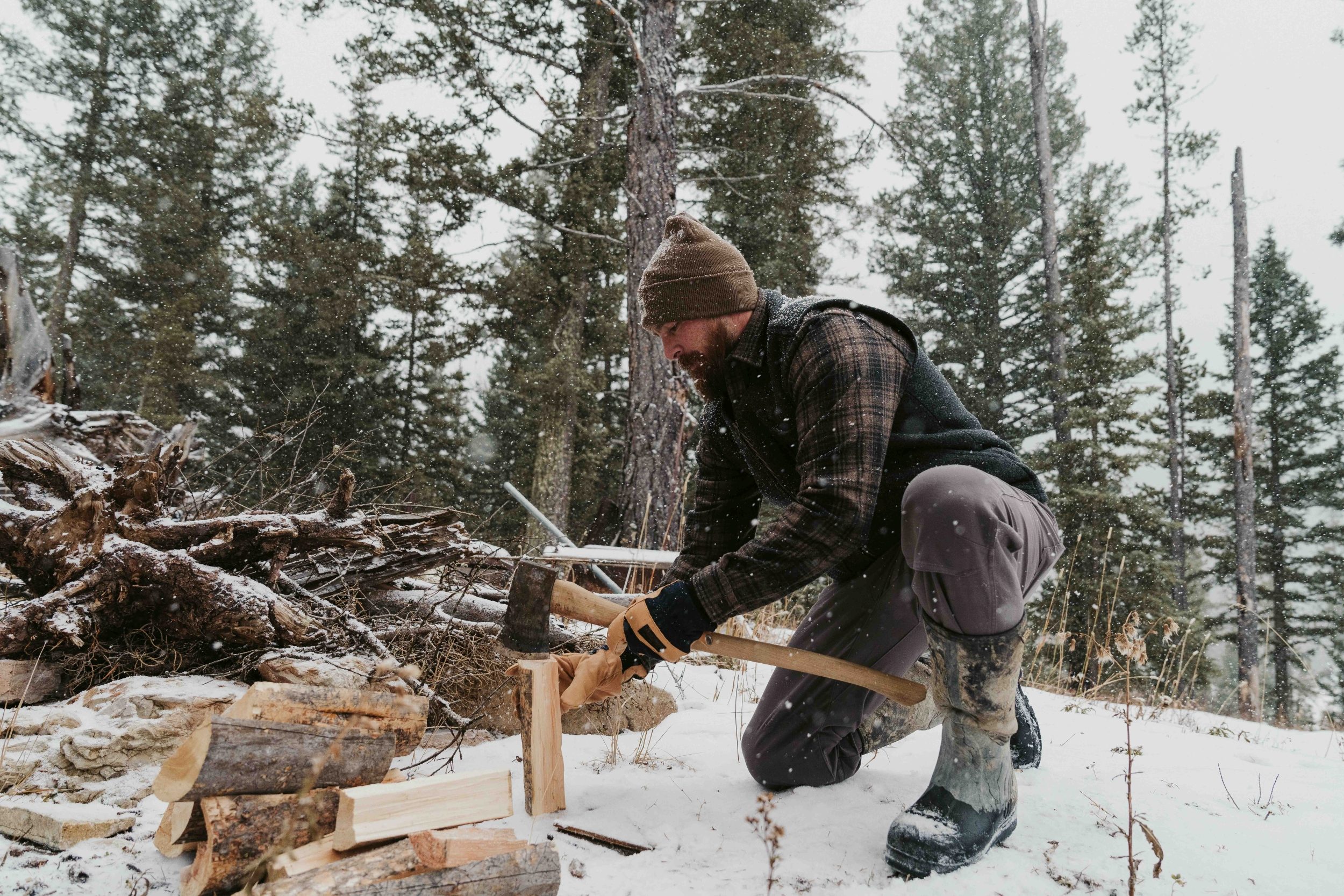 Plant, Tree, Axe