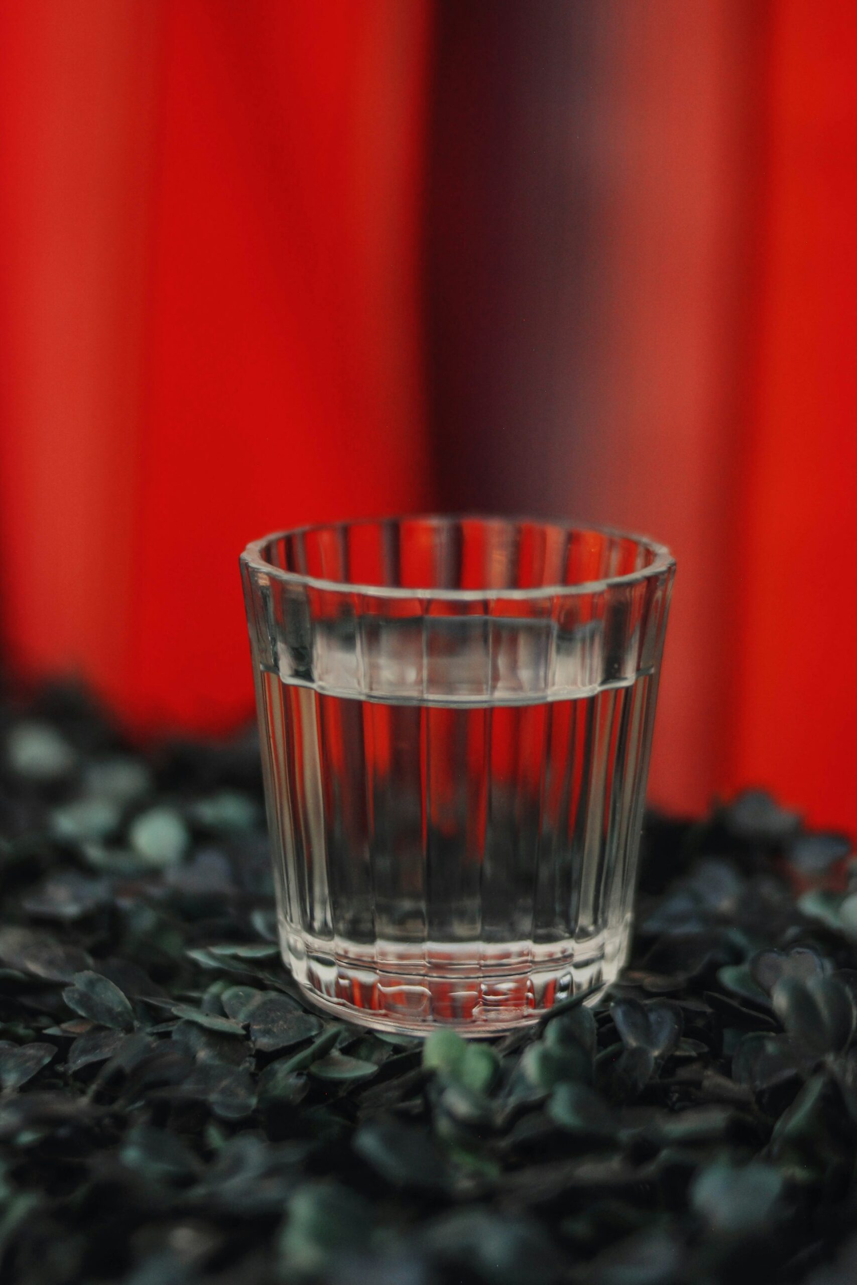 mezcal