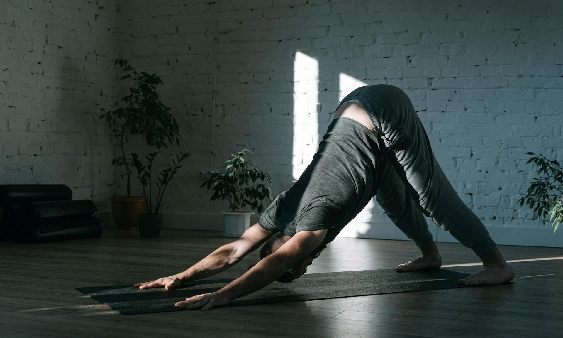 Downward Dog Yoga