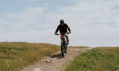Upway e-bike sale