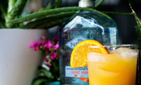 Tequila Sunrise
