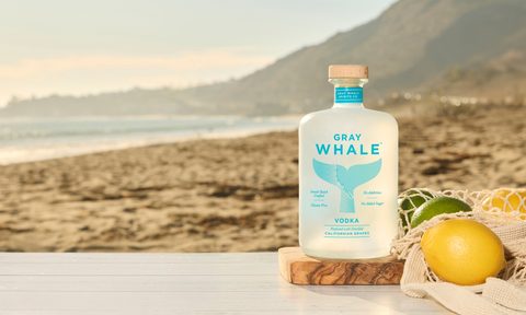 Gray Whale