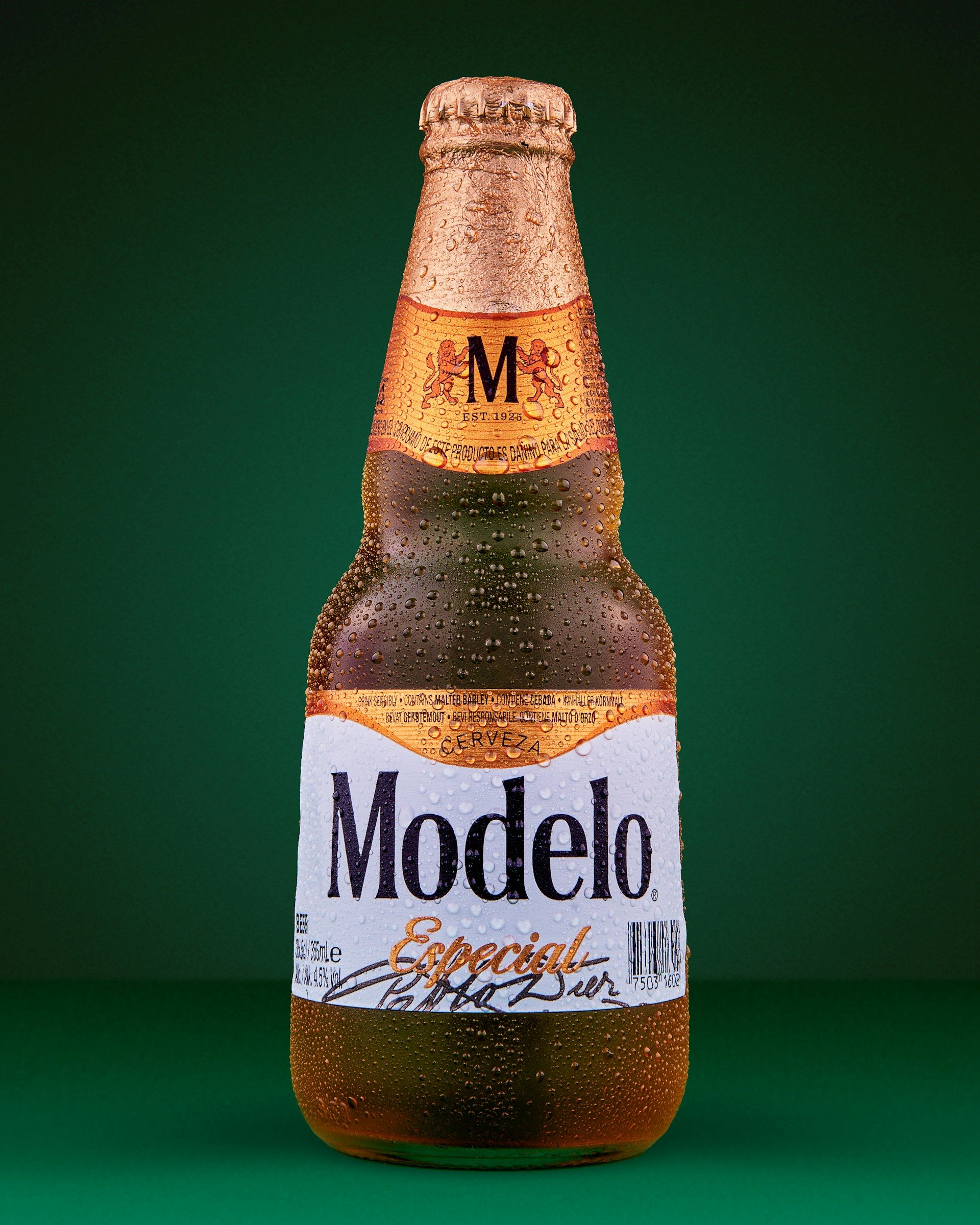 Modelo Especial