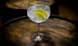 Spanish Gin Tonic