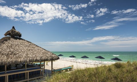Lido Key Bar.