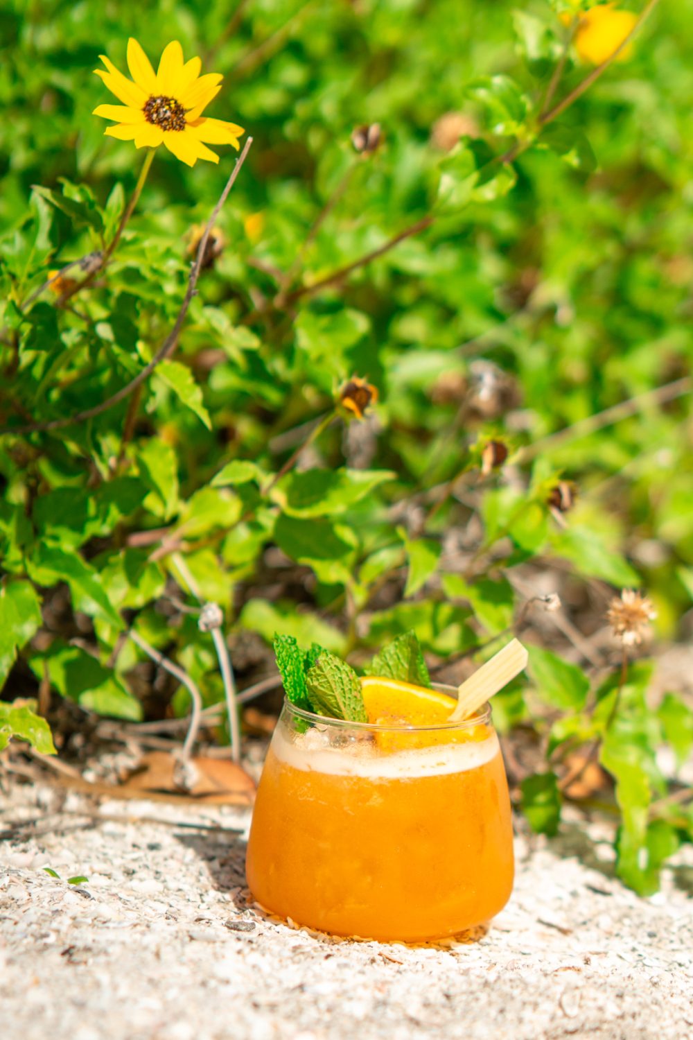 Lido Key cocktail.