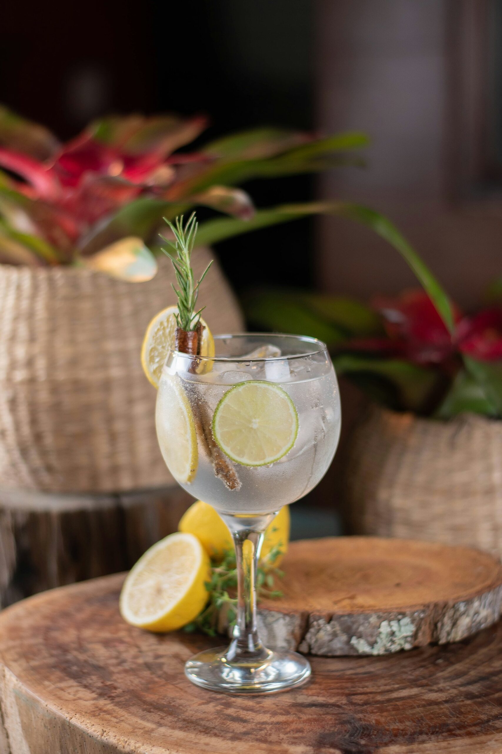 Spanish Gin Tonic