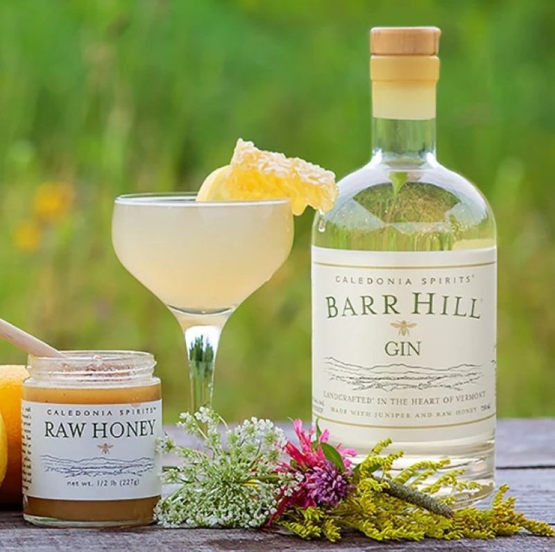 Barr Hill Gin