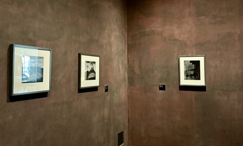 Art, Art Gallery, Painting