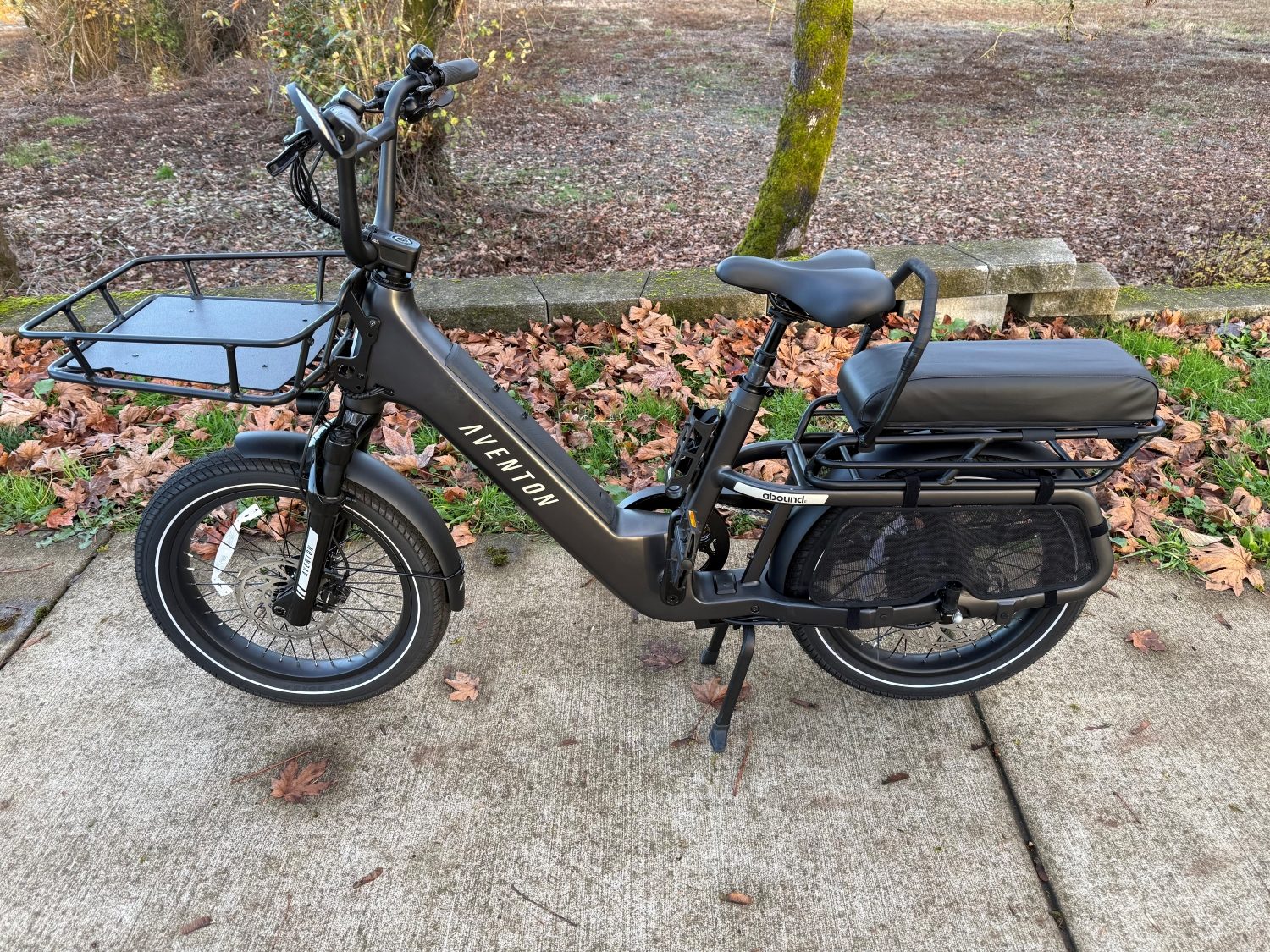 Moped, Motor Scooter, Motorcycle