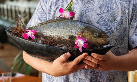 Fish sommelier in Hawaii.