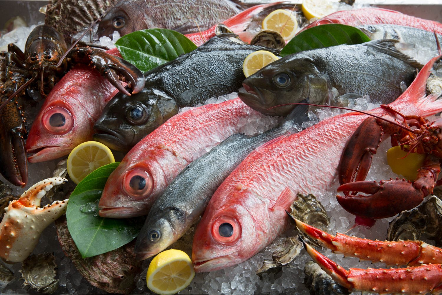 Fish service at Four Seasons.