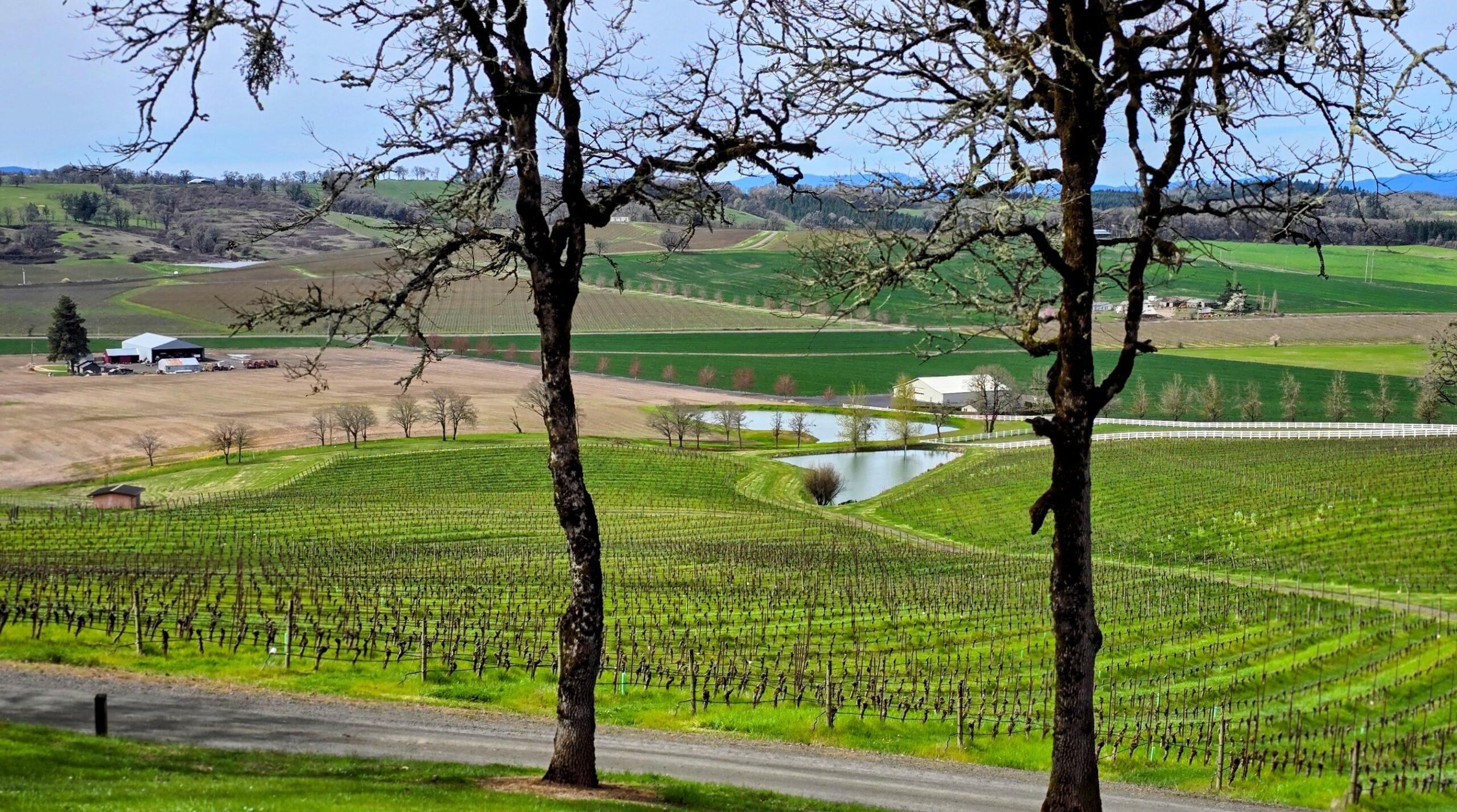 Nature, Outdoors, Countryside