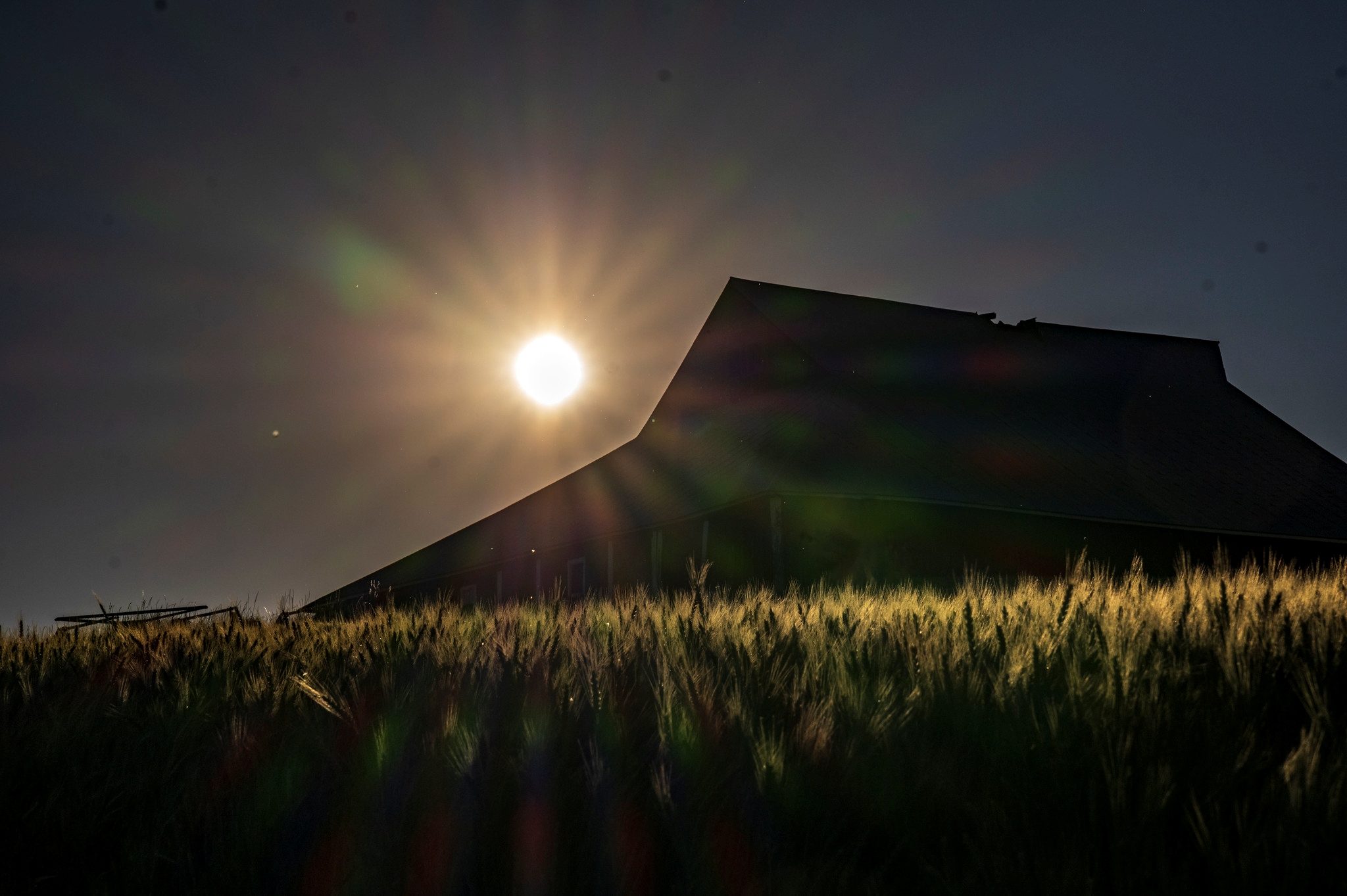 Flare, Light, Sunlight