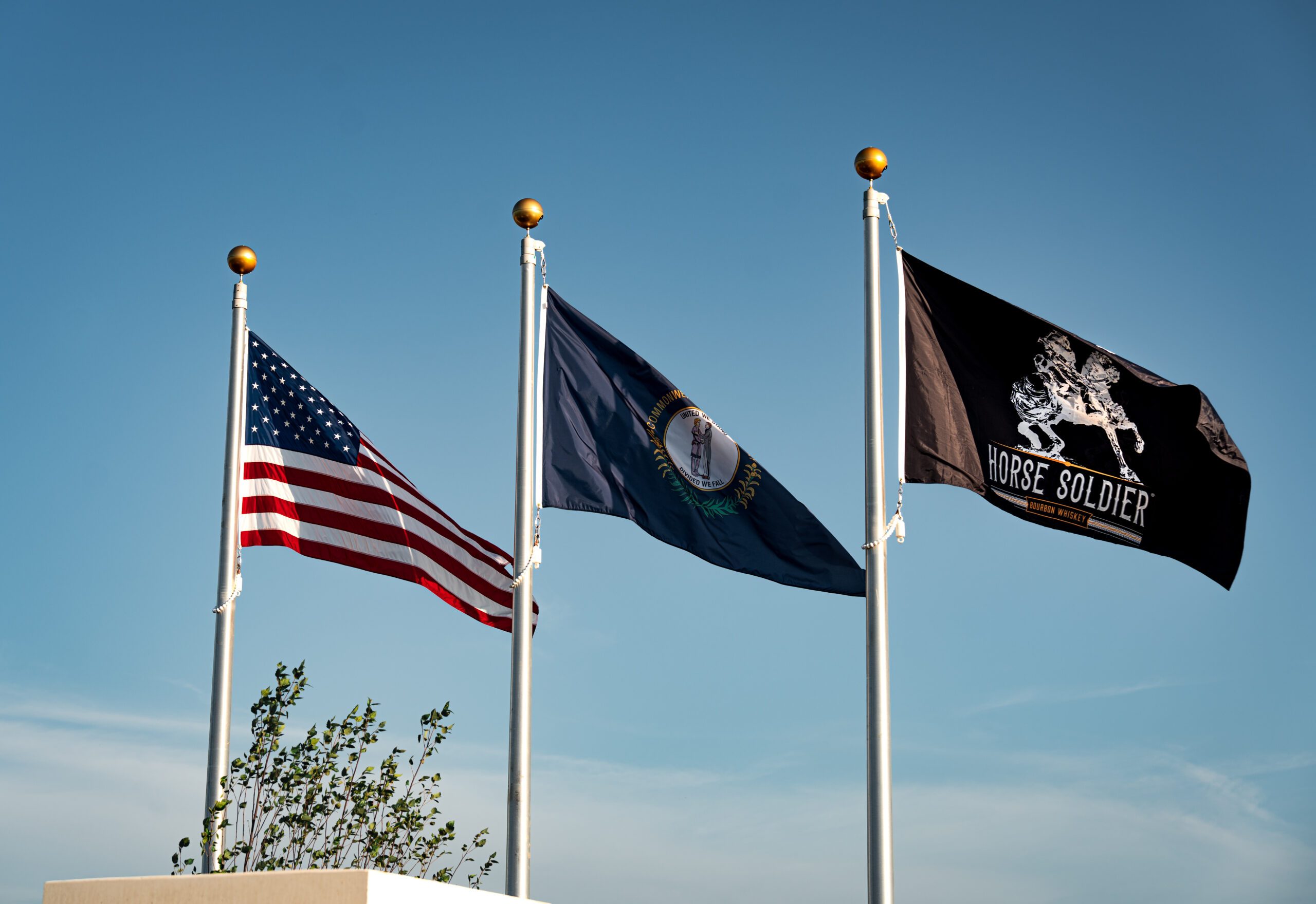 Flag, American Flag