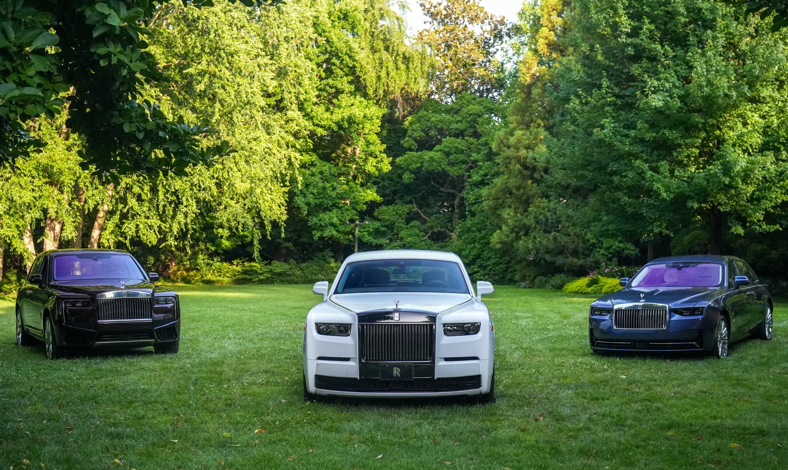 Grass, Plant, Car