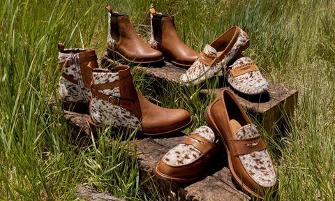 Clothing, Footwear, Shoe