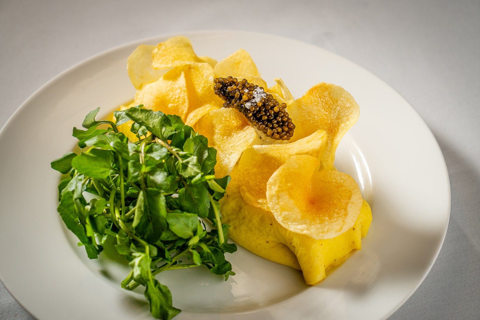 Food, Food Presentation, Plate