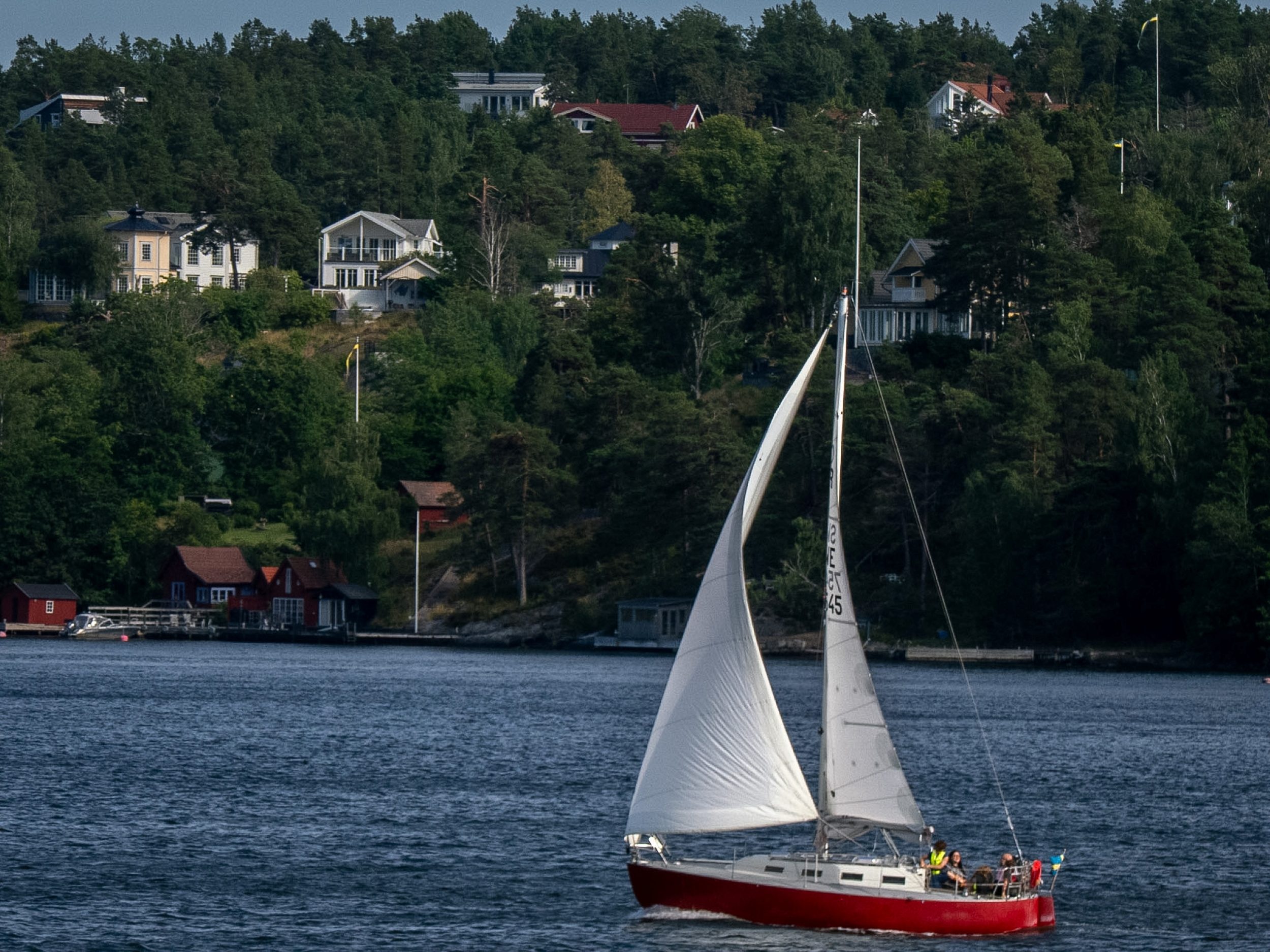 Boat, Sailboat, Transportation