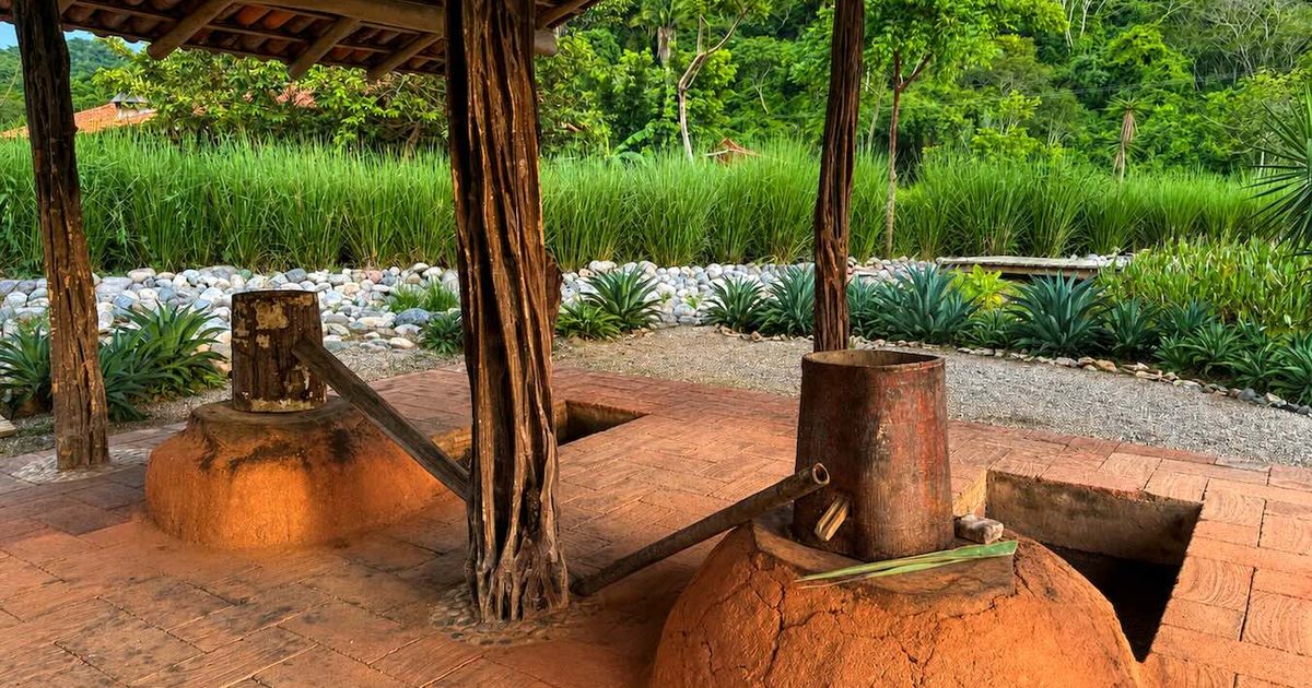 Our new favorite raicilla is made on a small farm in Nayarit