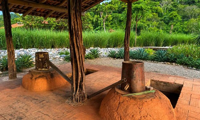 Cachasol farm distillery in Nayarit, Mexico