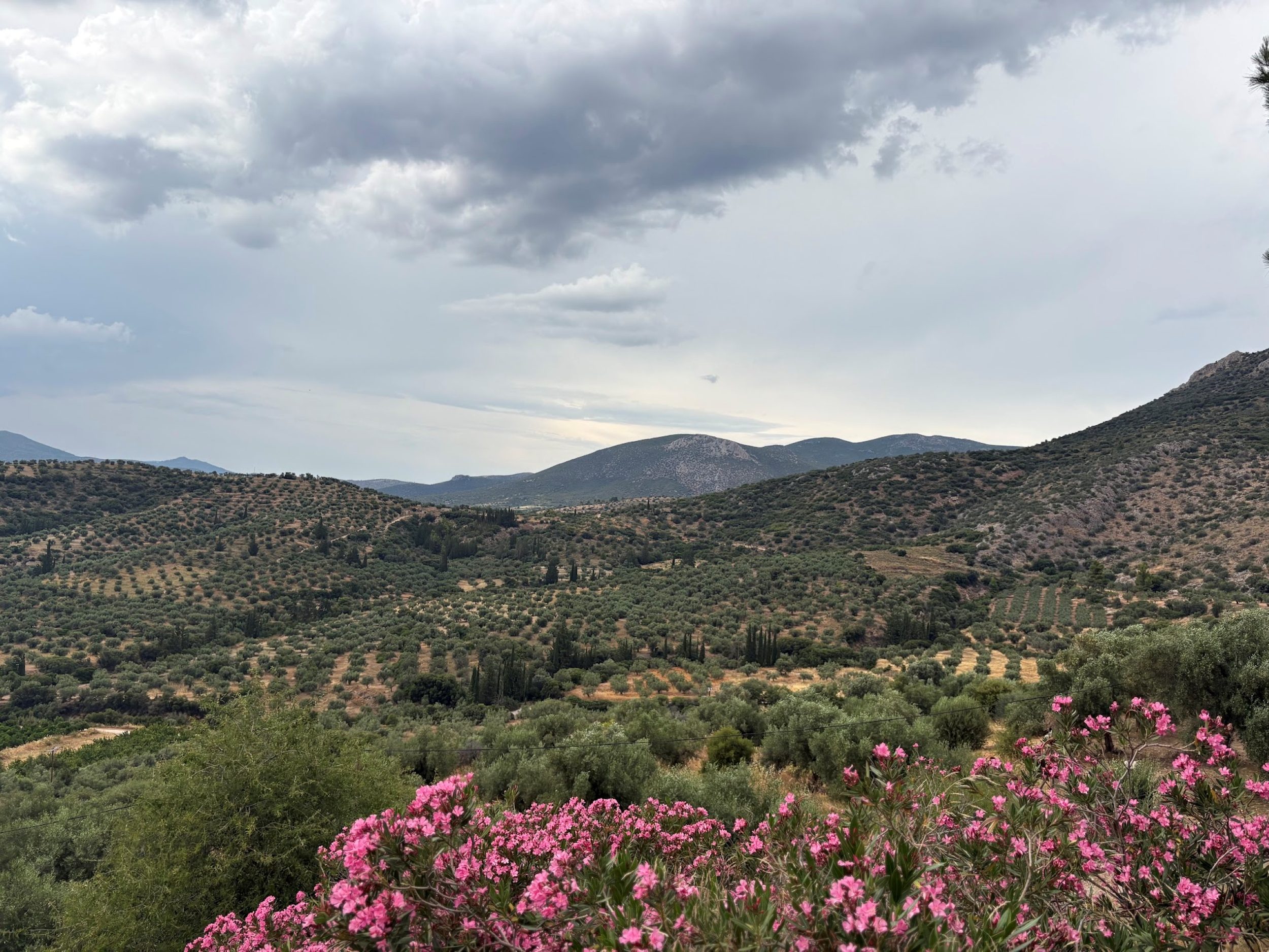 Nature, Outdoors, Wilderness