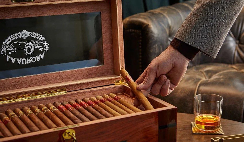 Face, Head, Person