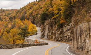 Fall Foliage