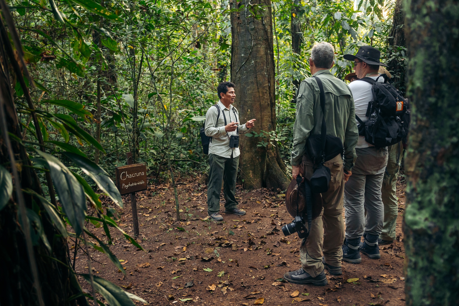 Rainforest Expeditions