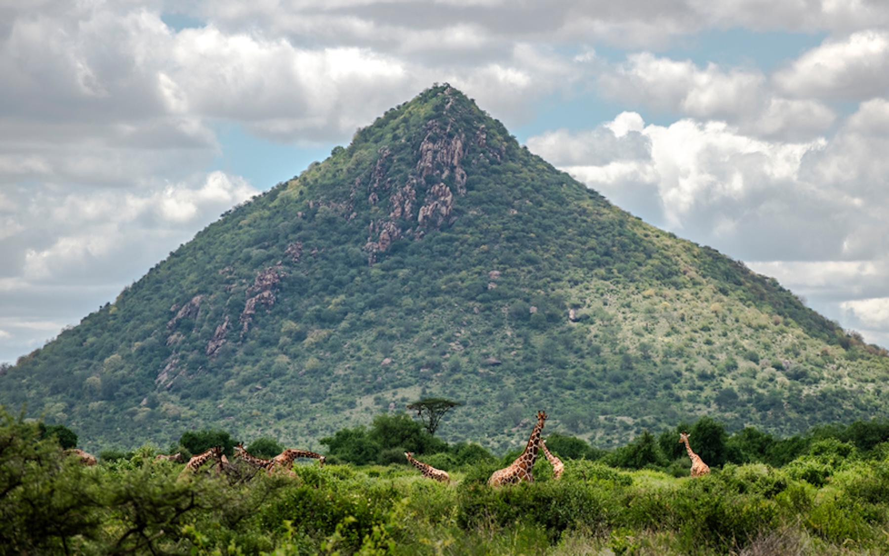 Kenya