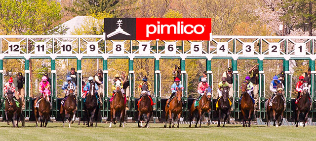 the pride of preakness stakes pimlico