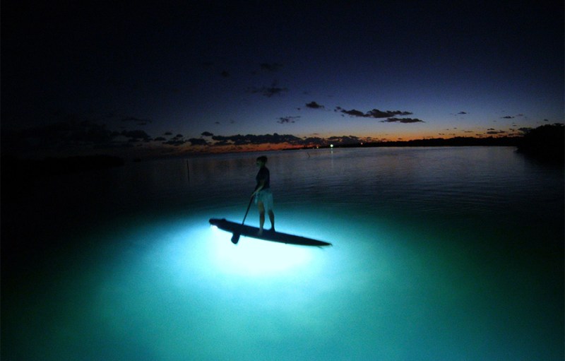 find your way in the dark with nocqua 2000 underwater led lighting system