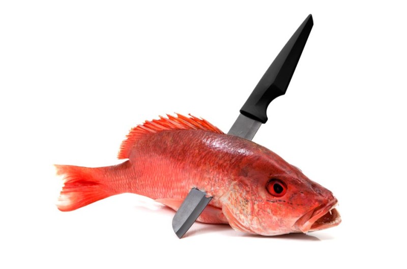 onyx ceramic cutlery edge belgravia fish knife