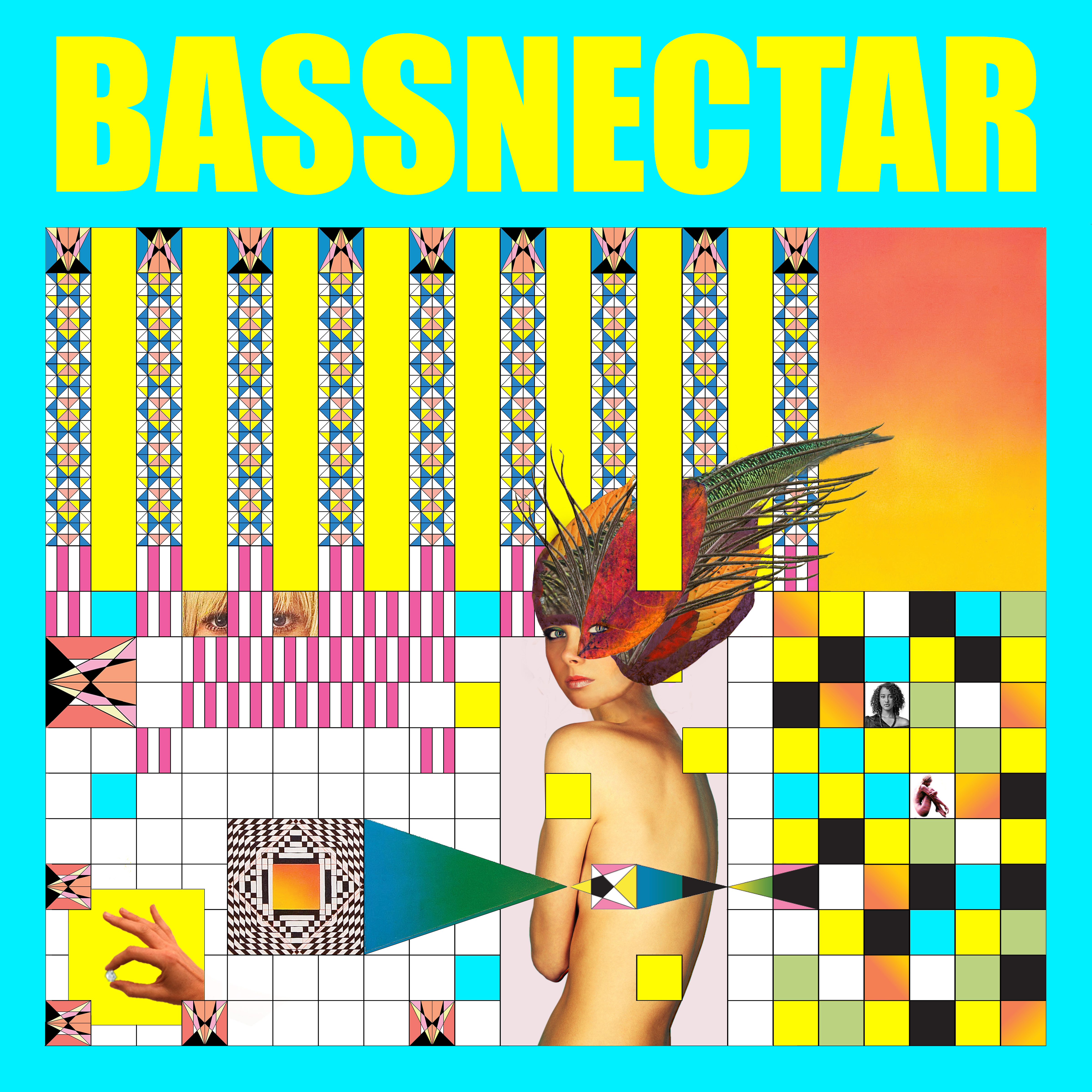 Bassnectar Noise vs Beauty