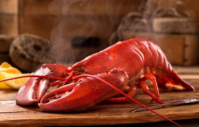 how to cook lobster