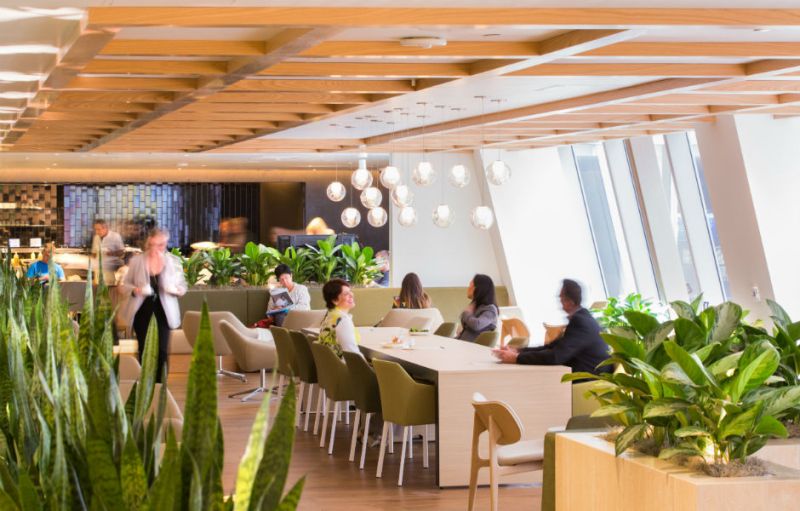 relax and rejuvenate at the qantas lax lounges 85d97bd78495847c0e56576f69e04ee6 1