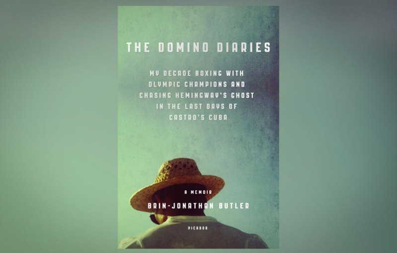 rolling with the punches a review of domino diaries by brin jonathan butler header
