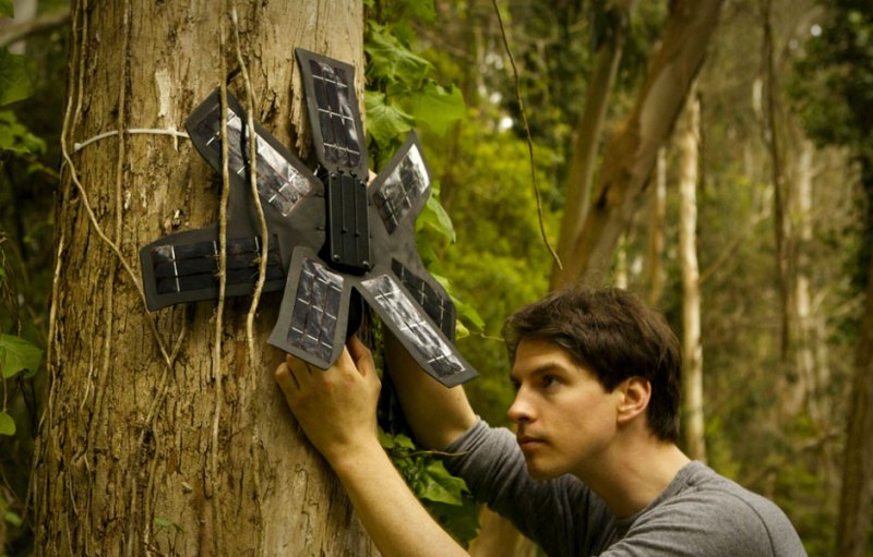 these geeky eco warriors want your old phone to help stop illegal deforestation tree