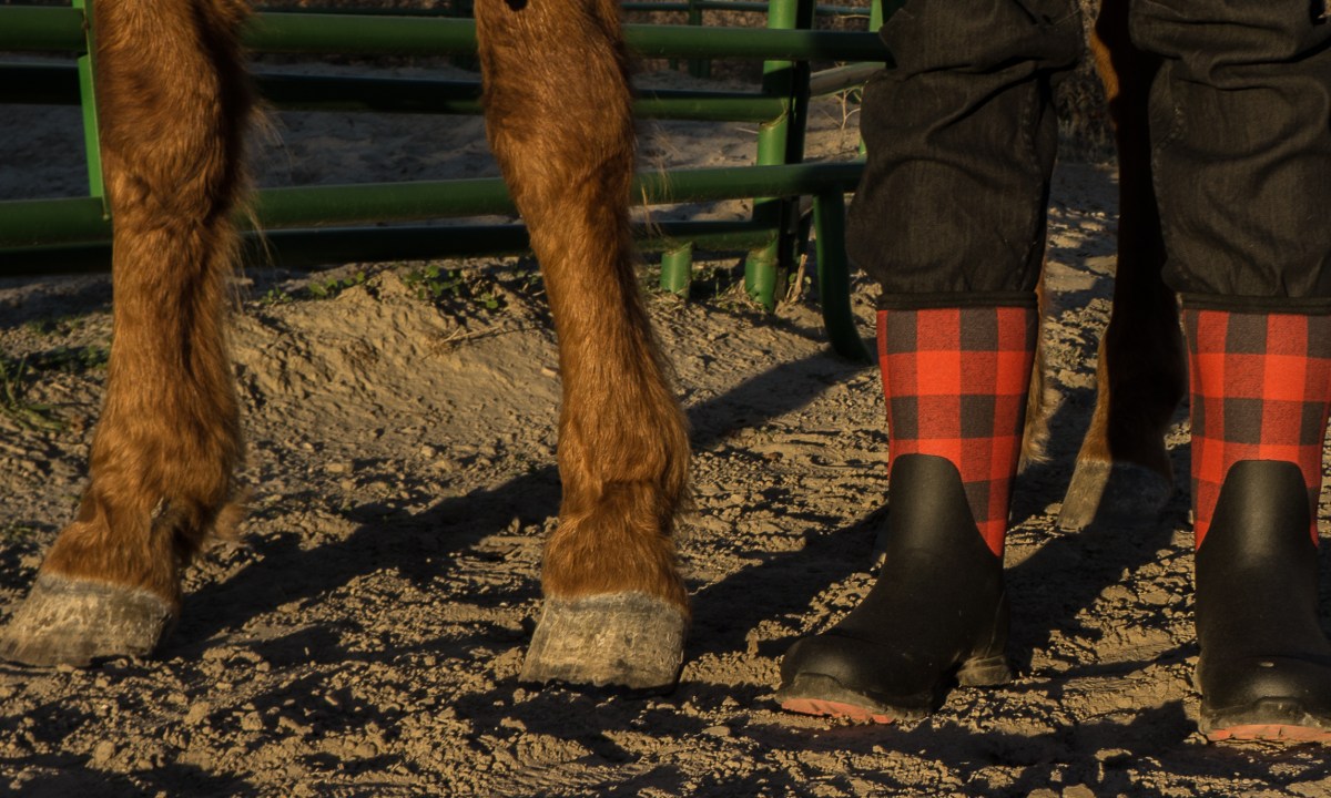 Muckboots Arctic Excursion